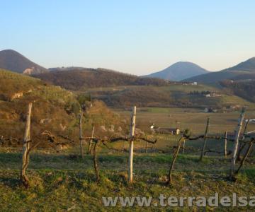 Colli Euganei, Casa Marina, silenzio, trekking biblico, yoga, Parrocchia dell'Invisibile, Luca Buccheri, Enrico Scapin, Monica Rovatti