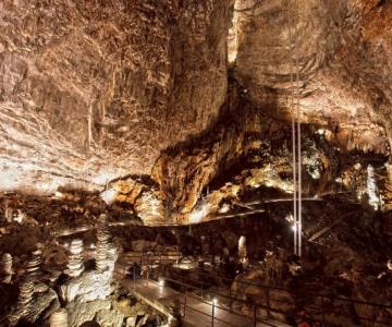 Grotta gigante Trieste