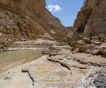 viaggi, terra santa, terradelsanto, israele, palestina, passi di gesù, luca buccheri, monica rovatti