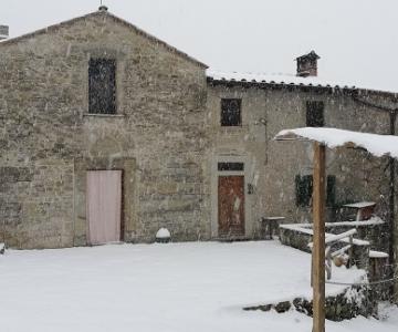 MESSE ONLINE DA TERZELLI, pandemia covid-19, Luca Buccheri, Parrocchia dell'Invisibile