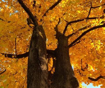 EREMO DI PAROLA E SILENZIO, cammino, Terzelli, Parrocchia dell'Invisibile, giovani, Luca Buccheri, Monica Rovatti, 