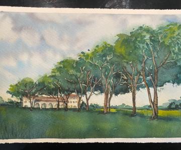 CORSO BIBLICO, PADOVA, VUOI GUARIRE, Parrocchia dell'Invisibile, Luca Buccheri, Monica Rovatti, Luciano Ricifari, Comunità Bethesda