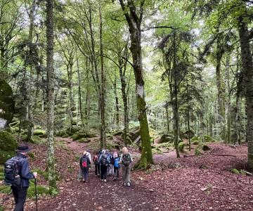 TREKKING BIBLICO DEL CASENTINO, Terzelli, riposatevi un po', Terzelli, luca buccheri, Monica Rovatti, Lorenzo Gerini, Patrizio Donati