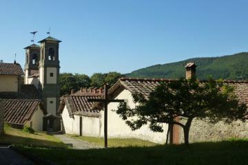 TREKKING BIBLICO & YOGA a CAMALDOLI