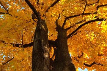 EREMO DI PAROLA E SILENZIO, cammino, Terzelli, Parrocchia dell'Invisibile, giovani, Luca Buccheri, Monica Rovatti, 