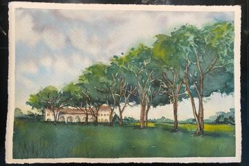 CORSO BIBLICO, PADOVA, VUOI GUARIRE, Parrocchia dell'Invisibile, Luca Buccheri, Monica Rovatti, Luciano Ricifari, Comunità Bethesda