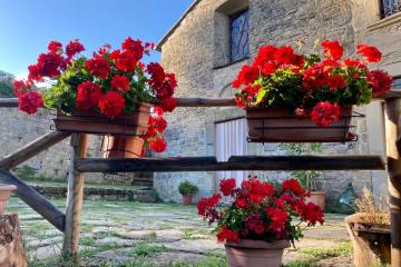 FRATERNITÀ DI LAVORO E PREGHIERA, TERZELLI, Parrocchia dell'Invisibile