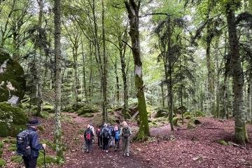 TREKKING BIBLICO DEL CASENTINO, Terzelli, riposatevi un po', Terzelli, luca buccheri, Monica Rovatti, Lorenzo Gerini, Patrizio Donati